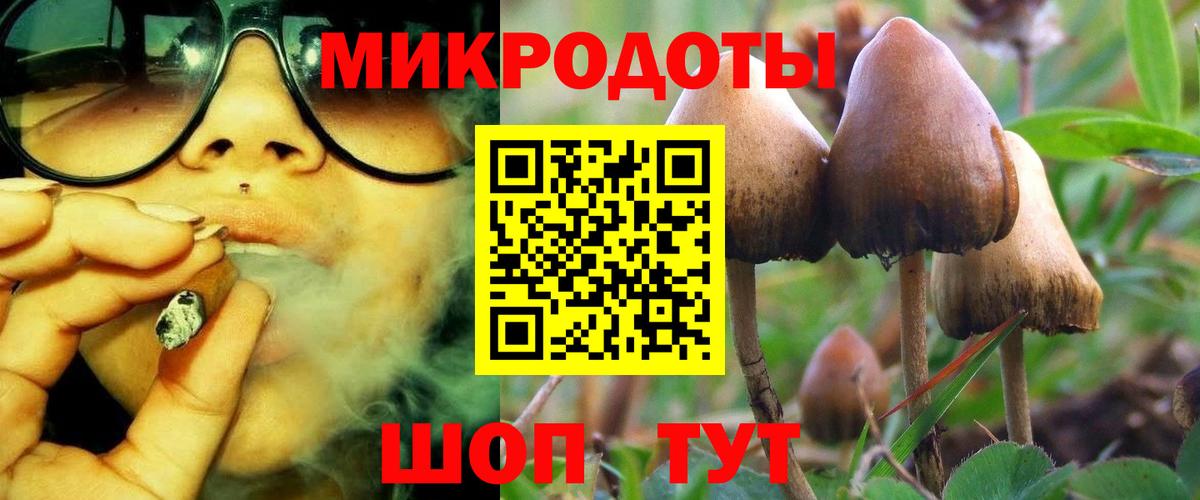 Усинск  Псилоцибиновые грибы Psilocybine cubensis  купить  сайты  Вход с VPN 
